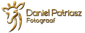 Daniel Patriasz